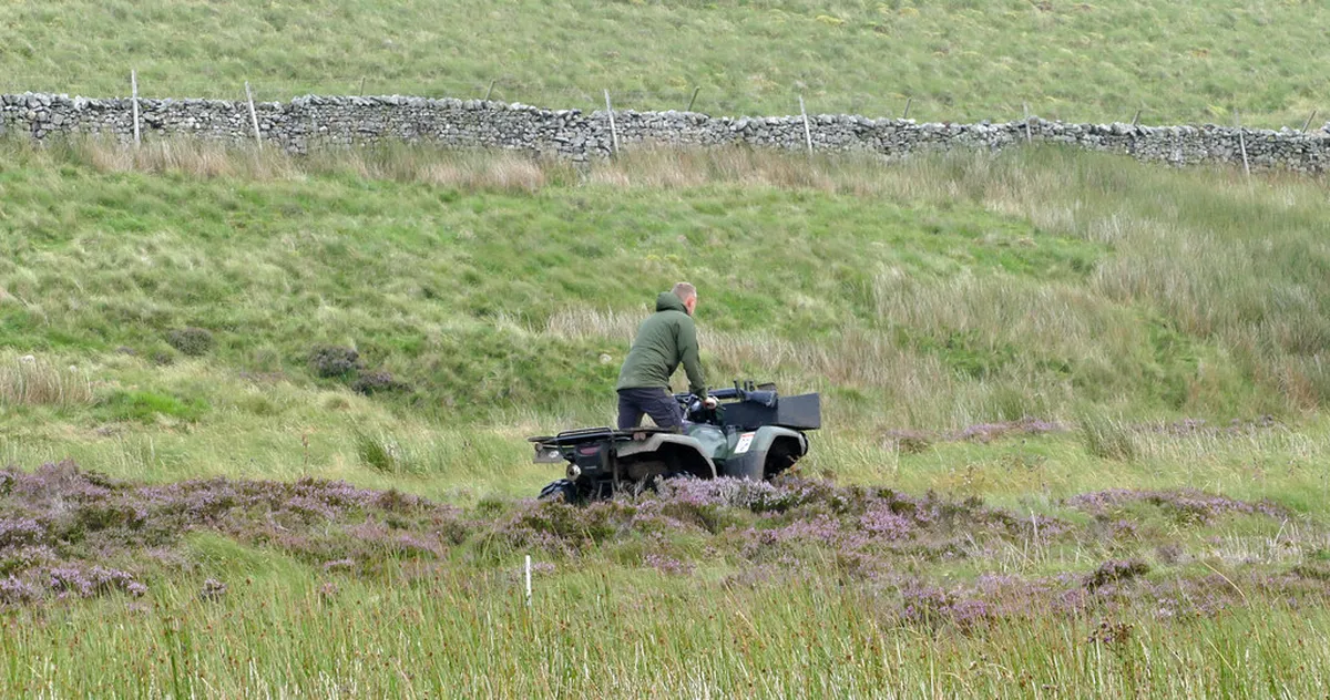 Ghent Local Food Stops: A 2025 Culinary Journey