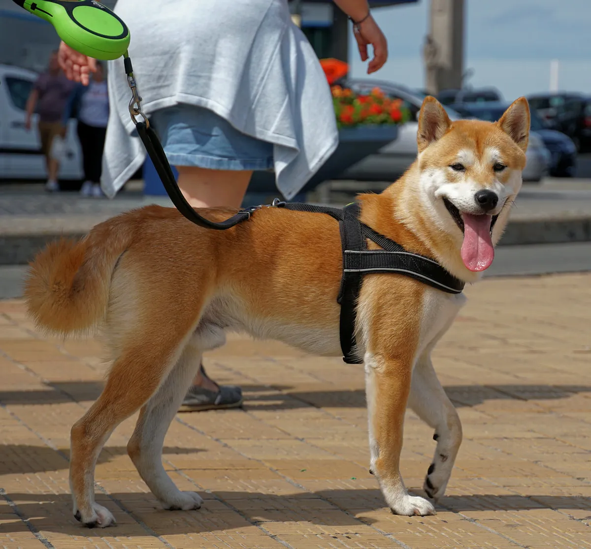 Your Perfect Ostend 1 Day Itinerary for 2025