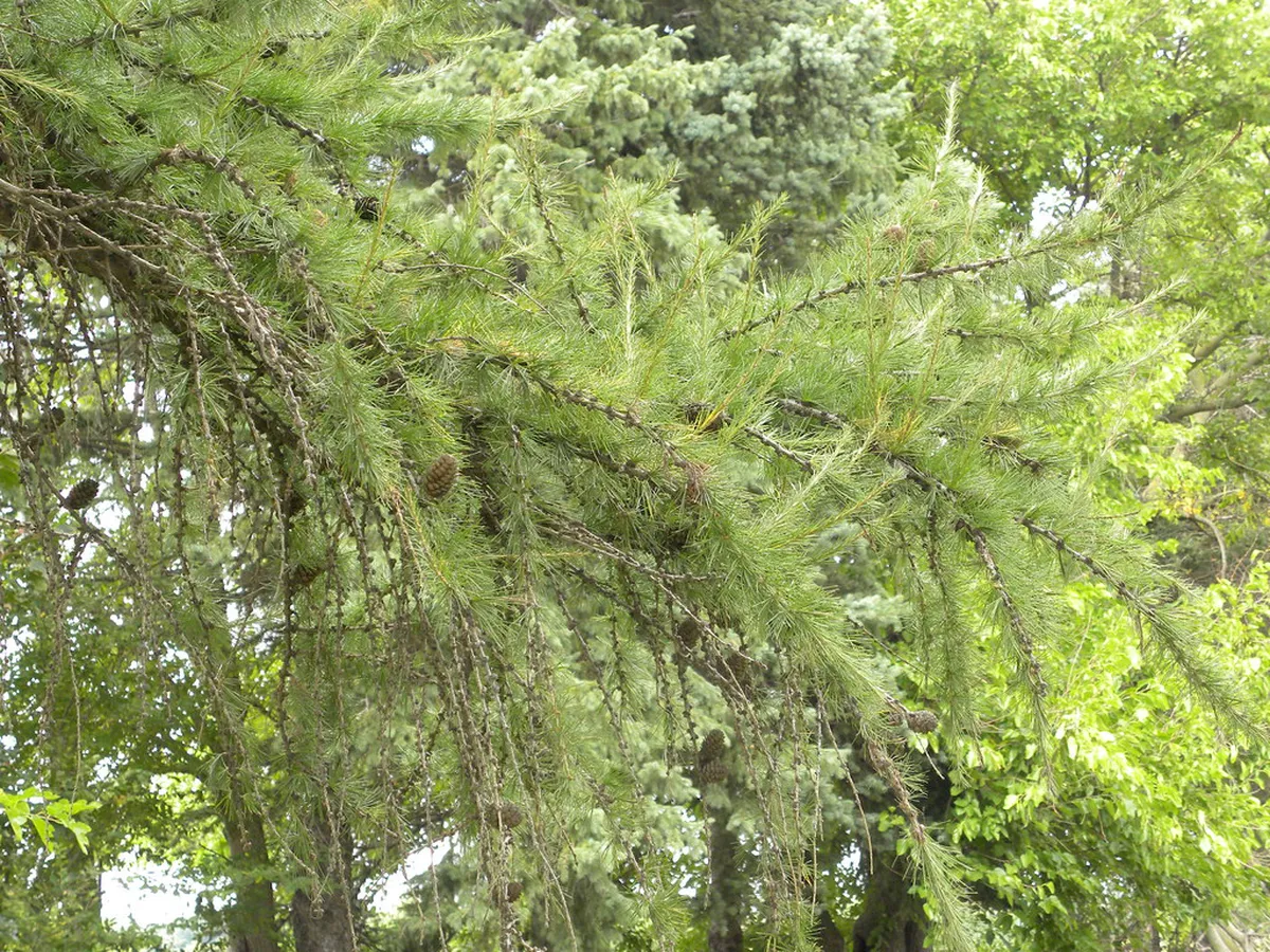 Ostend Hidden Gems Guide: Explore Secret Spots in 2025