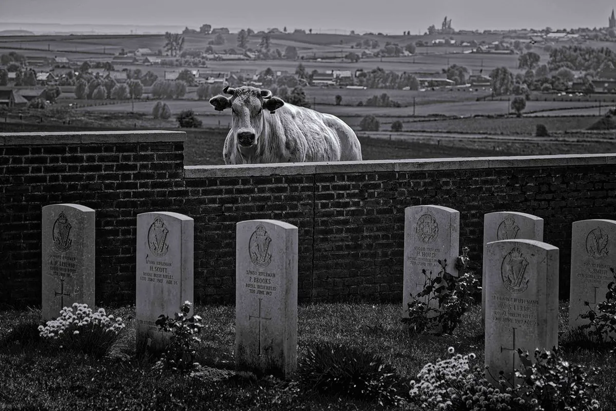 In Flanders Fields Museum Tickets: Your Ypres Guide 2025