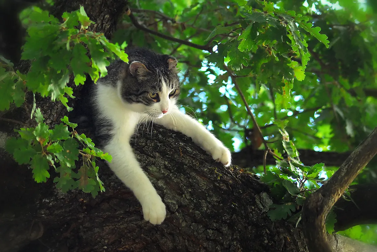 Discover Ruse Hidden Gems in Bulgaria