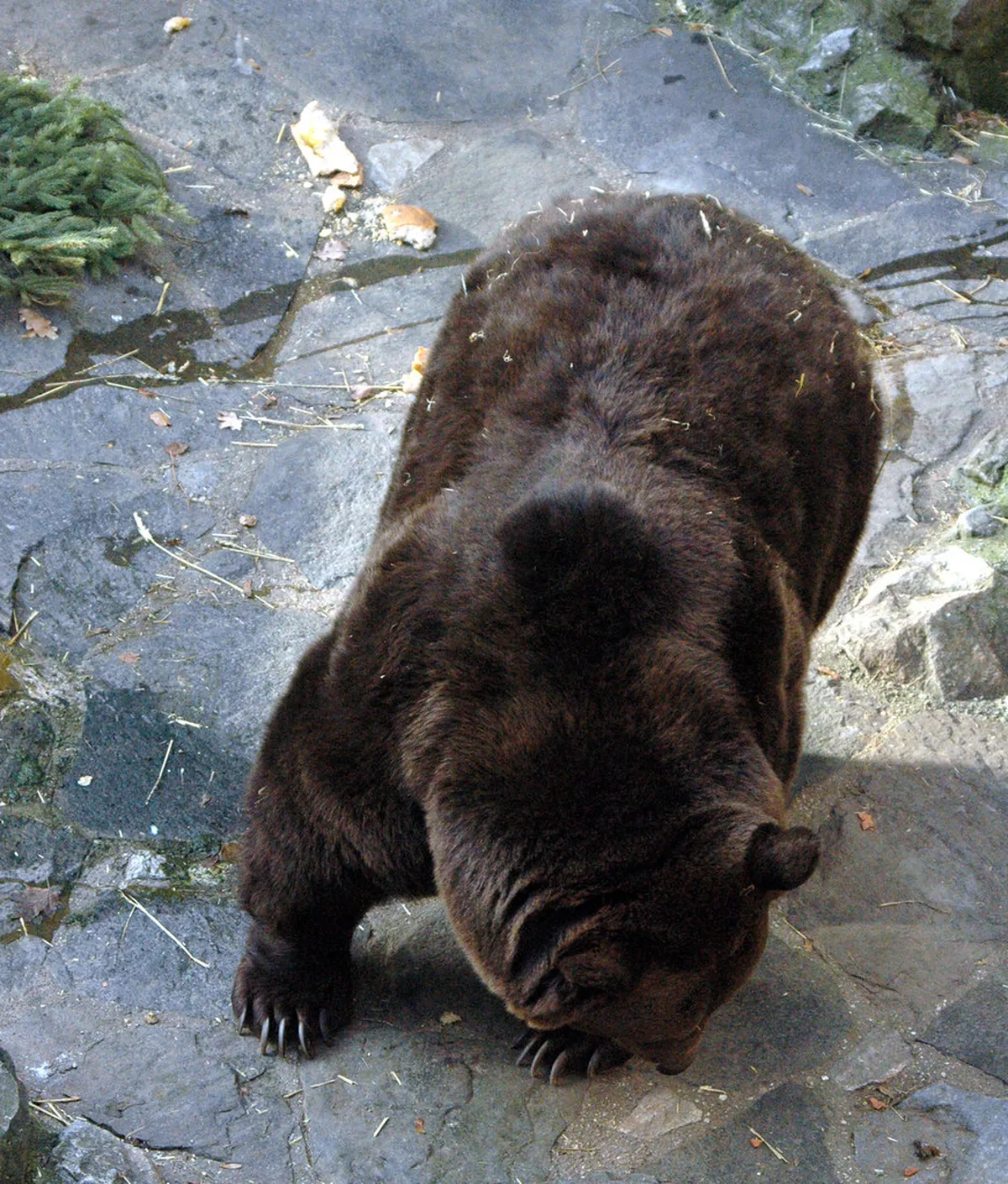 Český Krumlov's Best Restaurants: A 2025 Food Guide