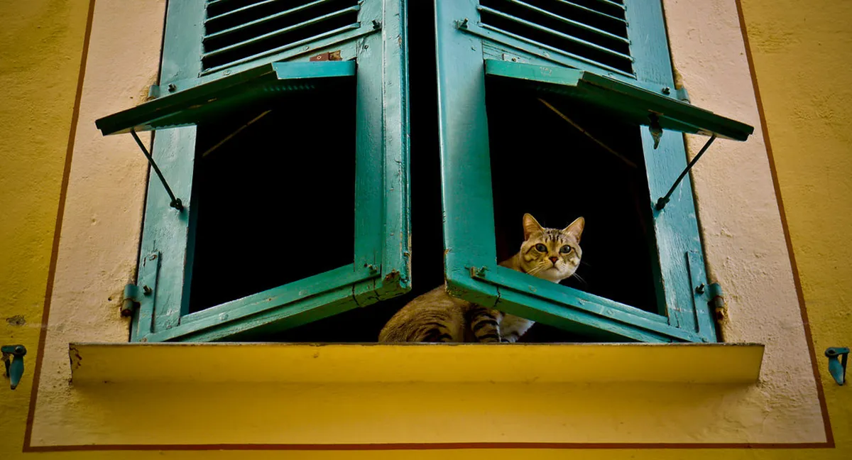 Discover Ajaccio's Hidden Gems: Unique Sightseeing in 2025