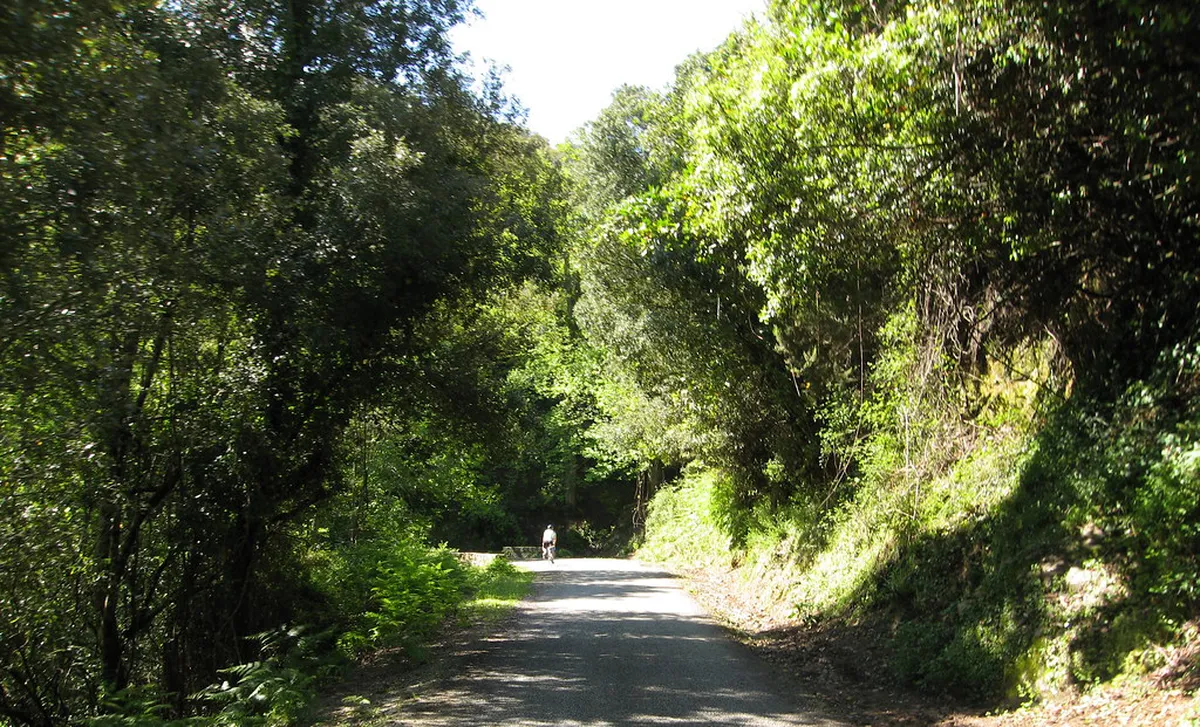 Ajaccio Travel Guide: How to See This Corsican Gem