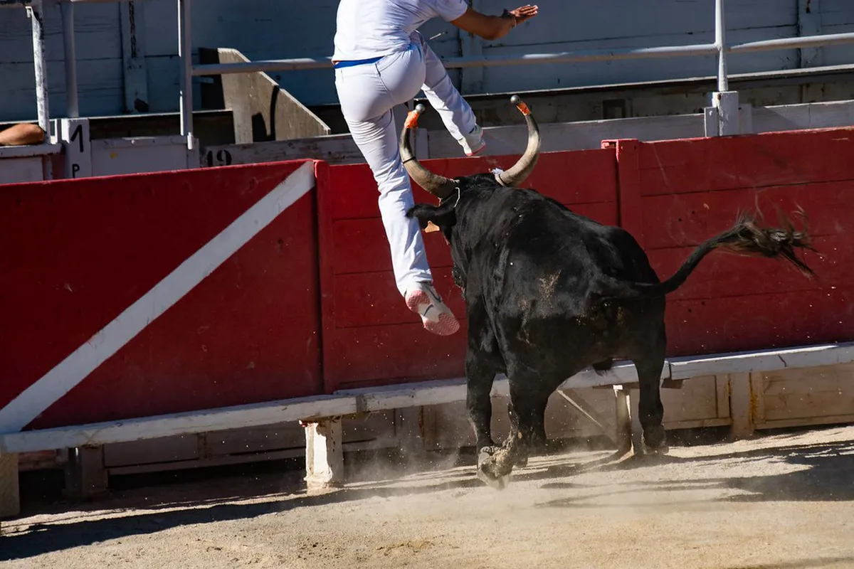 Getting Around Arles Transport: Your 2025 Guide