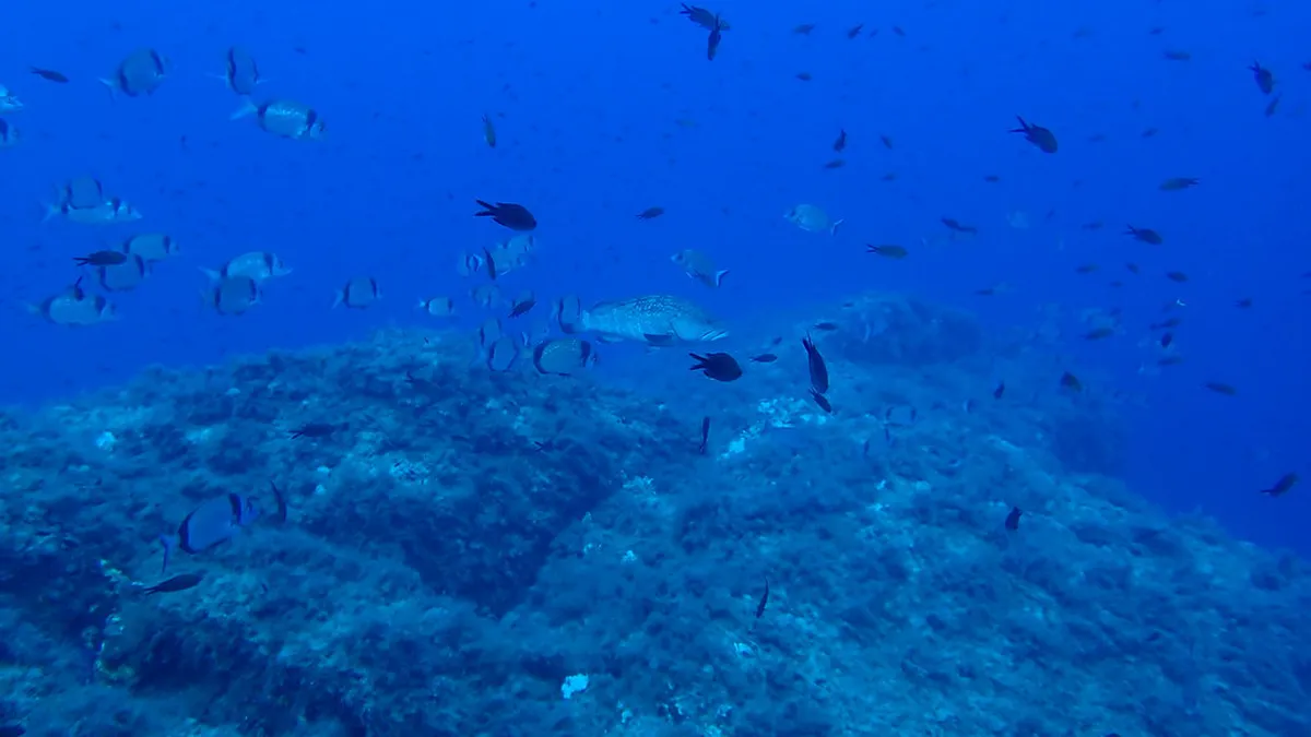 Best Calvi Photo Spots: Your 2025 Photography Guide