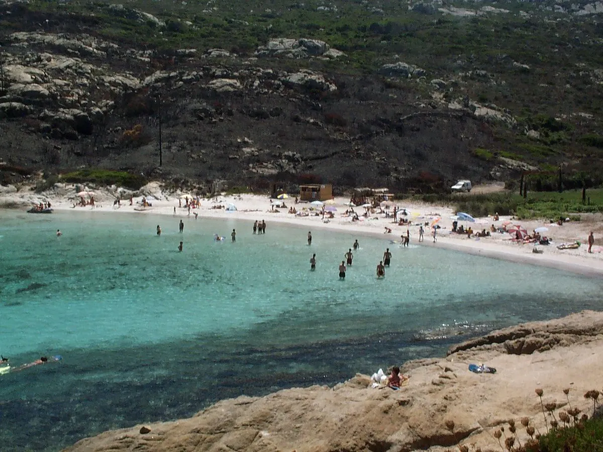 Calvi Beaches Guide: Discover Corsica's Best Sandy Shores
