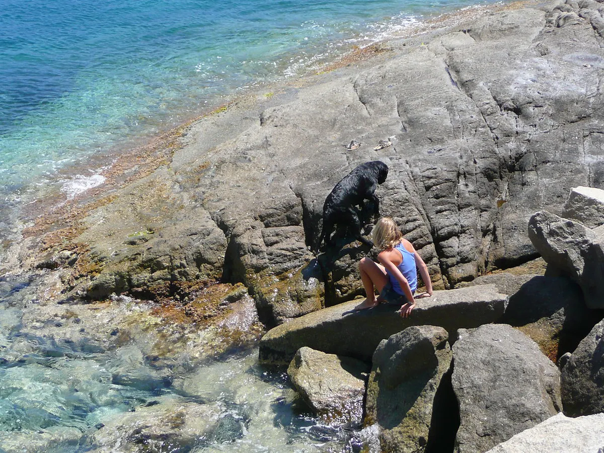 Your Essential Calvi Sightseeing Map & Guide for 2025