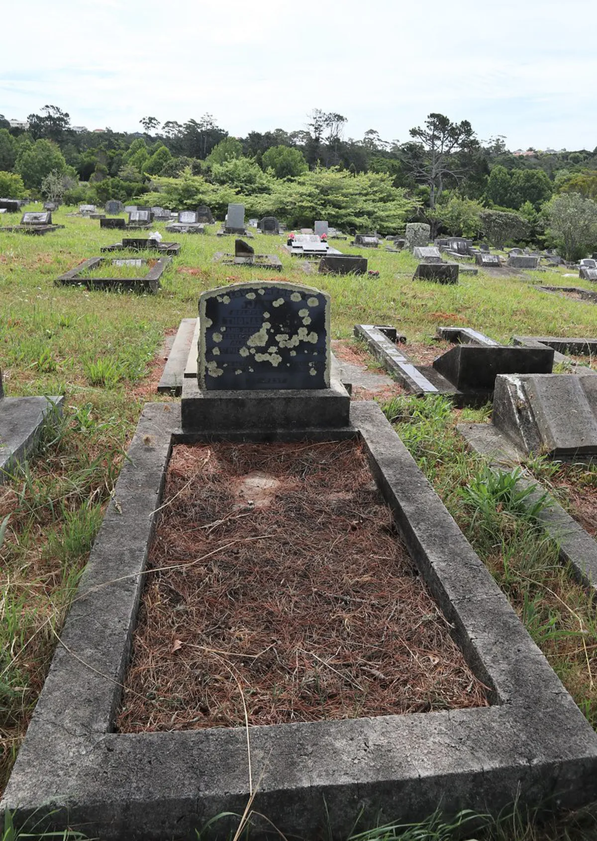 Düsseldorf Museums Pass Benefits: Your 2025 Guide