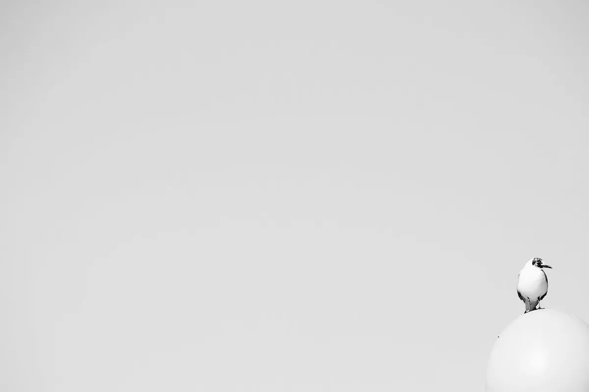 Your Perfect 2025 Düsseldorf Sightseeing Itinerary