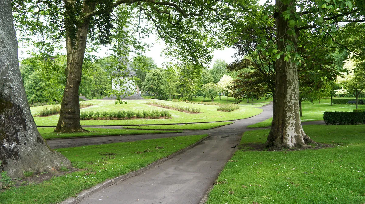 Discover the Best Münster Guided Tours in 2025