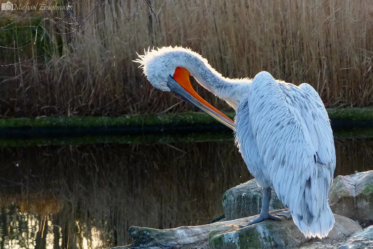 Münster Photography Spots Guide: Capture Its Best in 2025