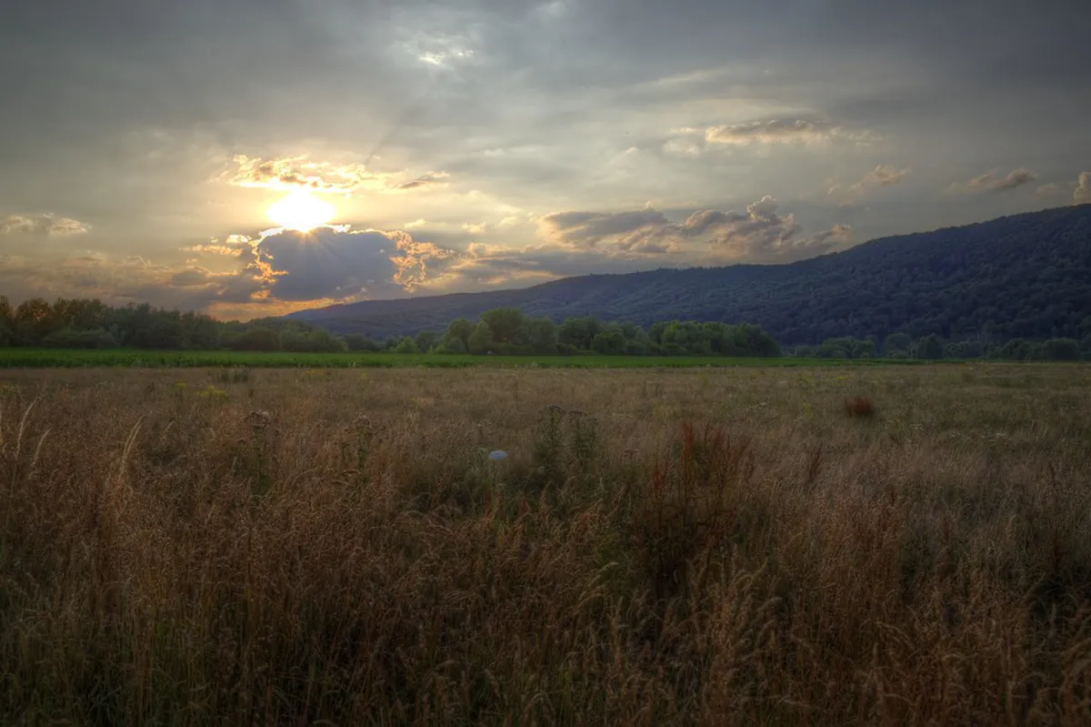 Top Evening Activities Sassari Italy Offers in 2025