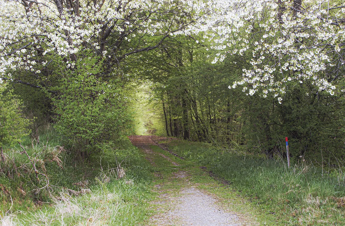 Your Perfect One Day Sassari Itinerary for 2025