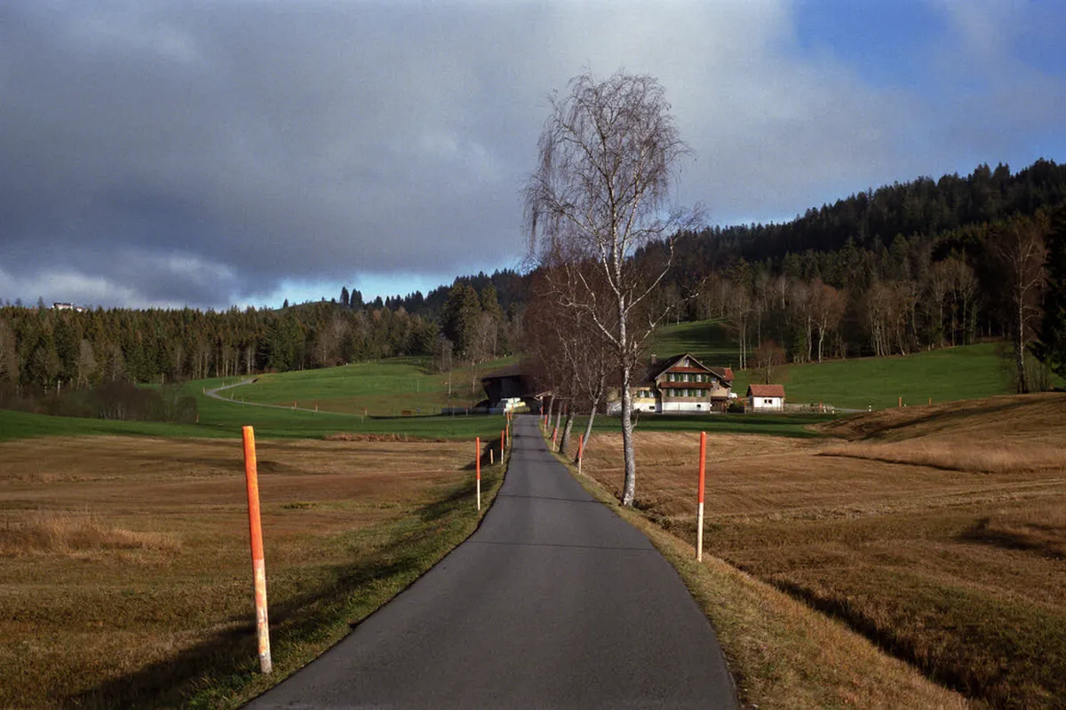 Budget Sightseeing Vicenza Guide: Explore Italy Affordably