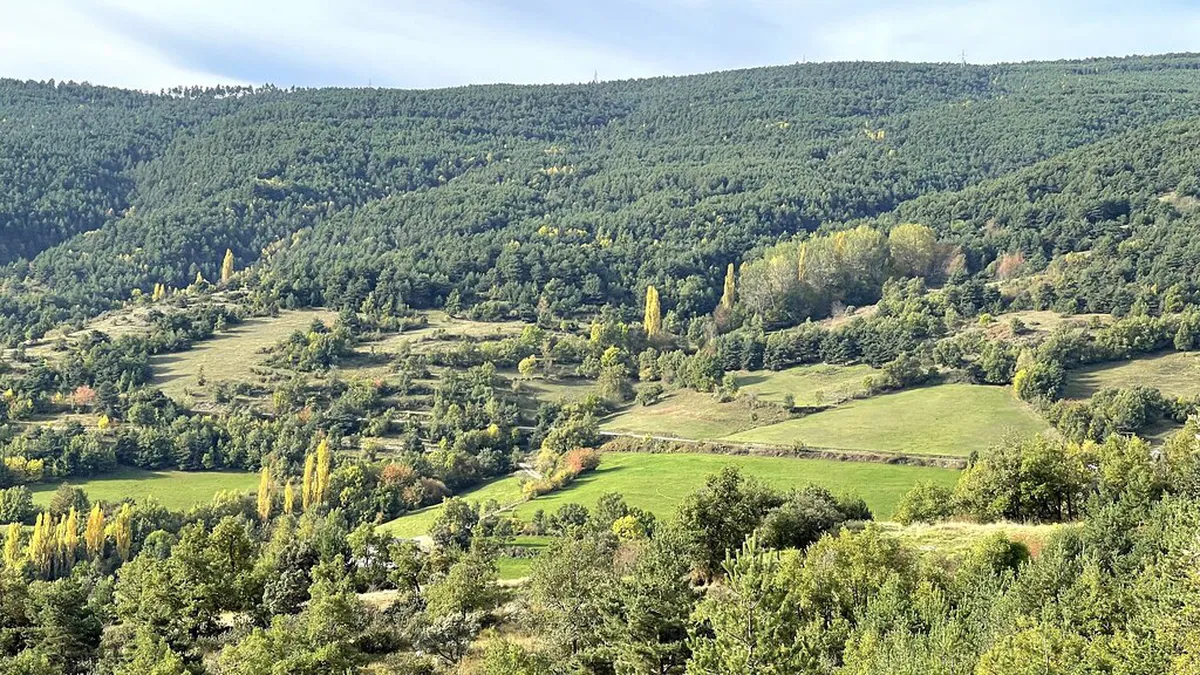 Getting Around Tomar: Your Ultimate 2025 Travel Guide