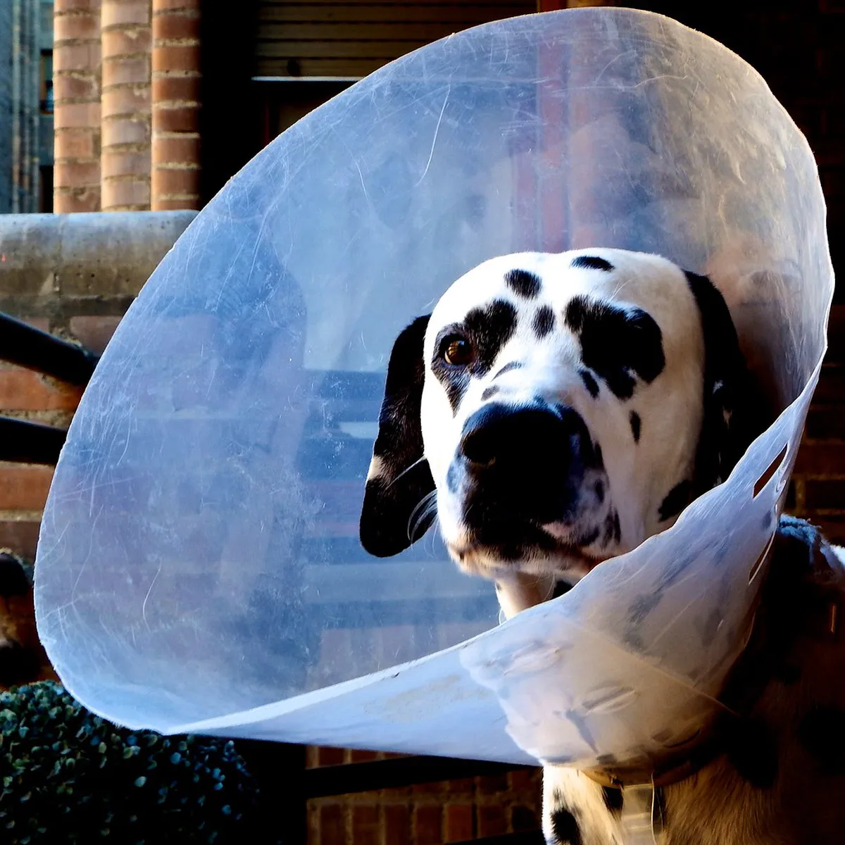 Tomar Budget Sightseeing Tips: Explore Portugal Affordably