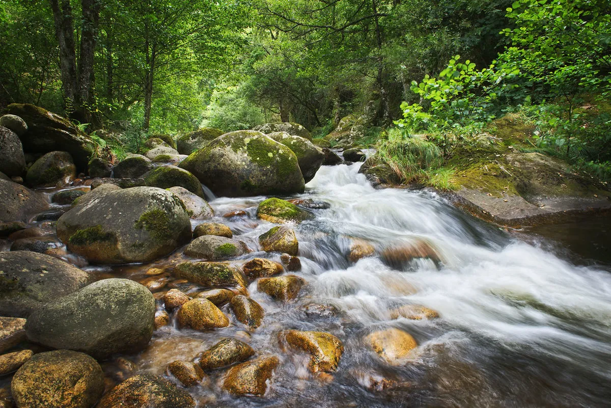 Tomar Family Friendly Activities: Portugal Guide 2025