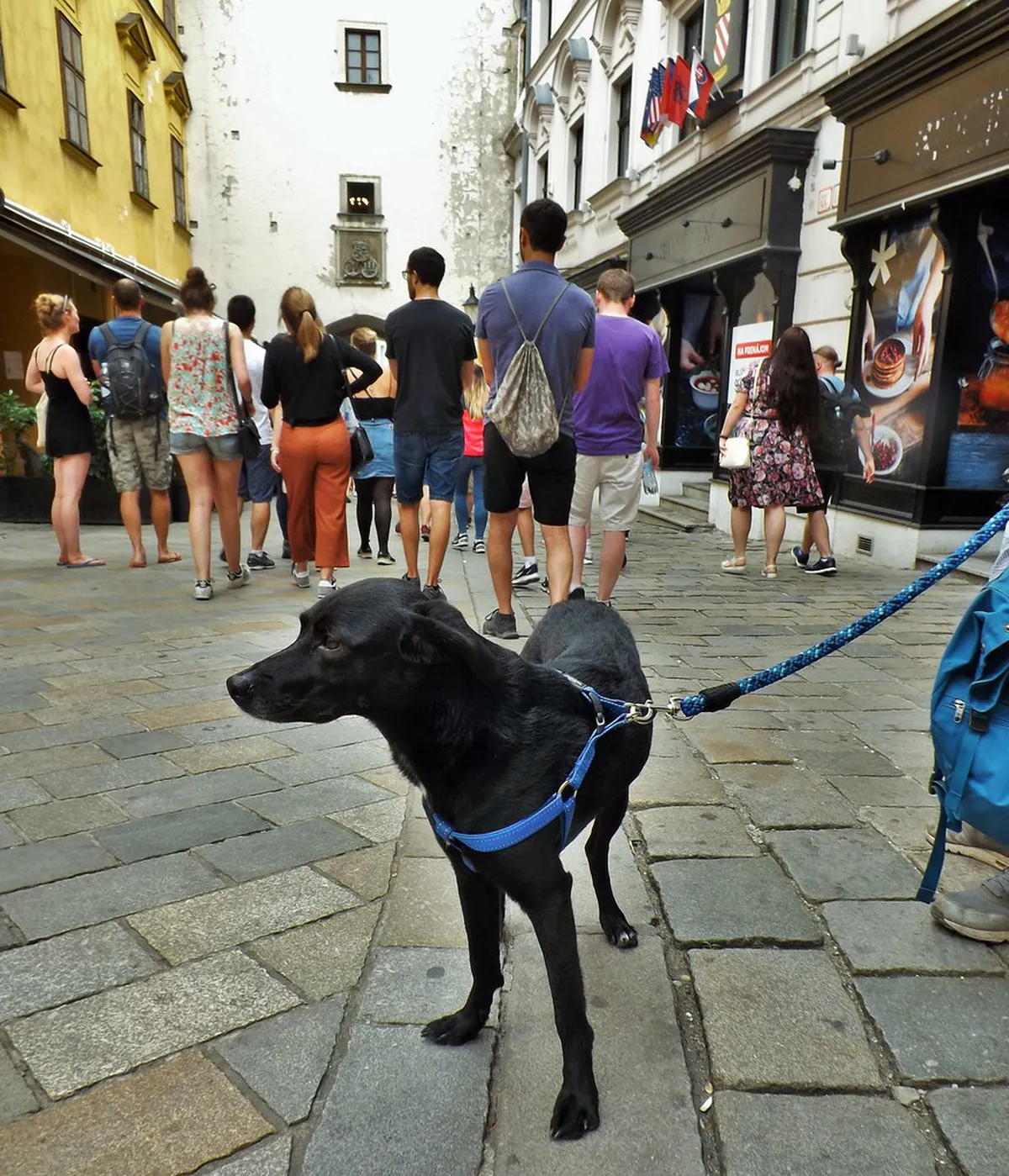 Bratislava Walking Tour Booking Guide for 2025