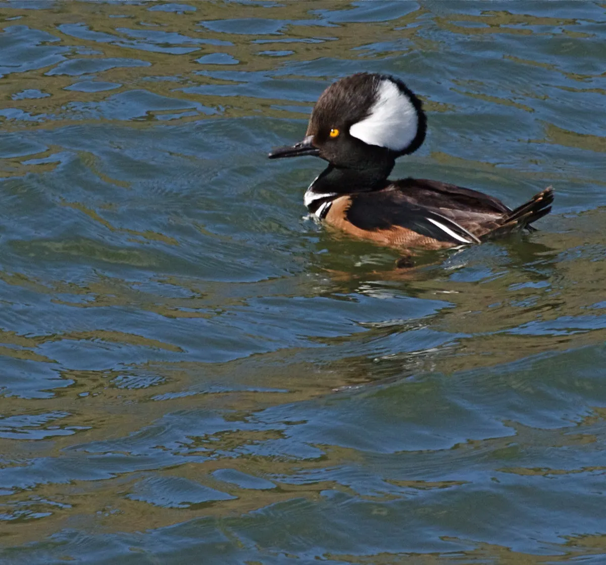 Where to Eat Ávila: Best Restaurants & Local Cuisine in 2025