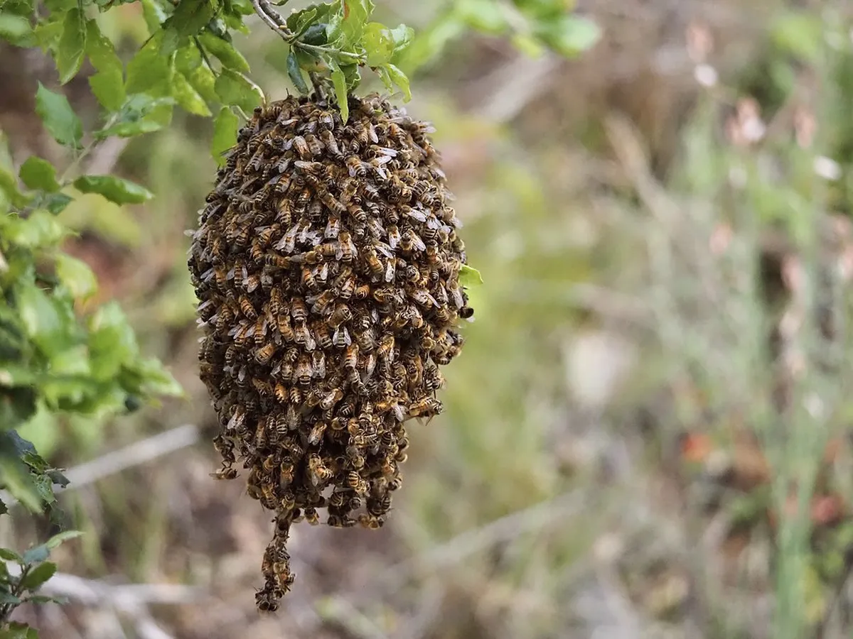 Ávila's Best Photo Spots 2025: Capture Medieval Spain