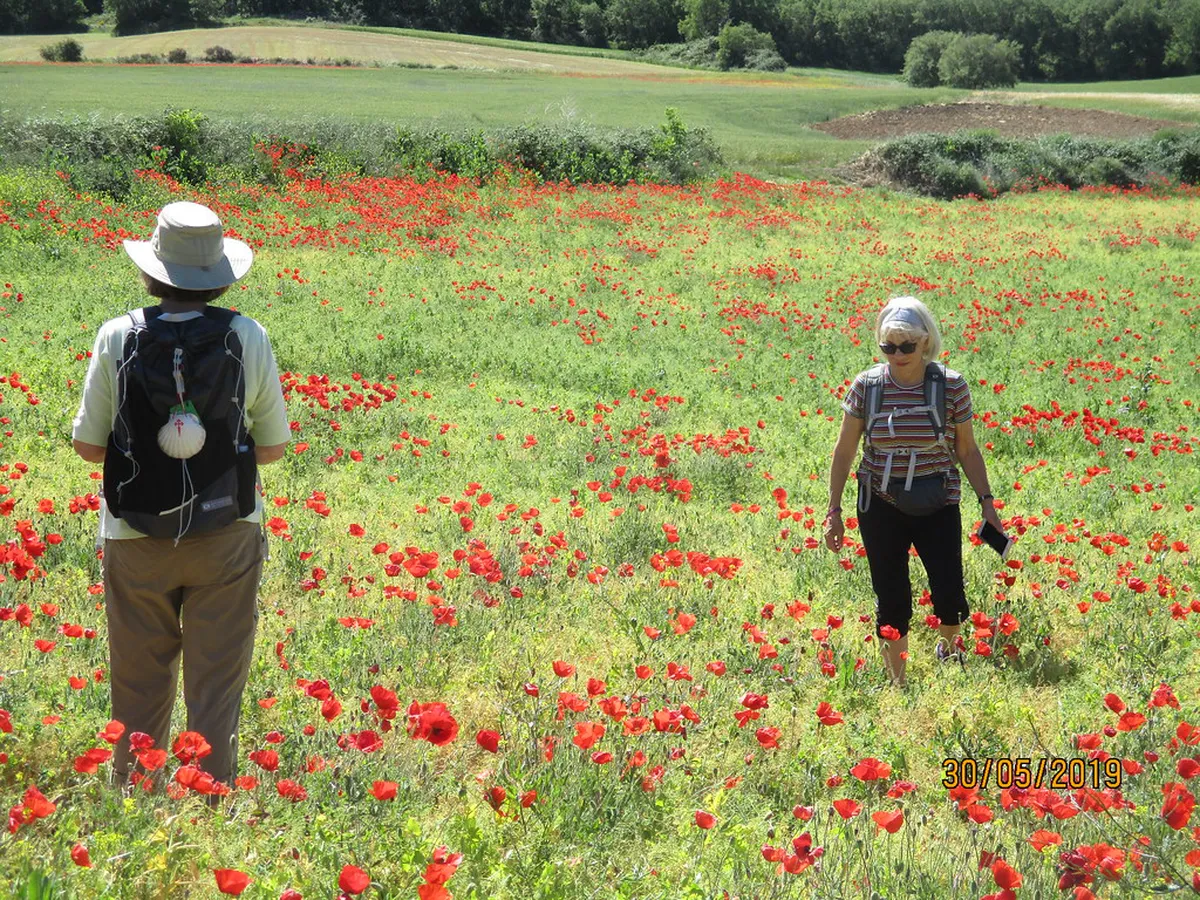 Best Pamplona Walking Tours for 2025: Explore Navarra