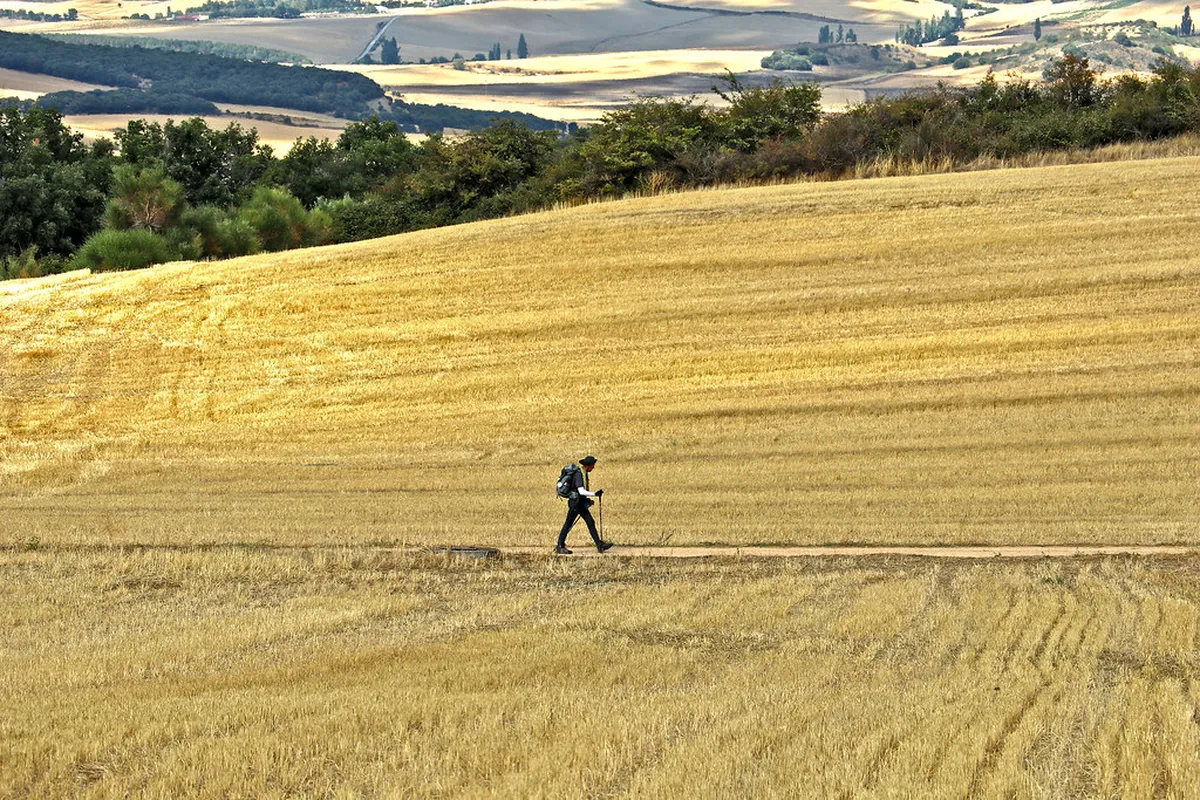 Pamplona Travel Planning Tips for Your 2025 Visit