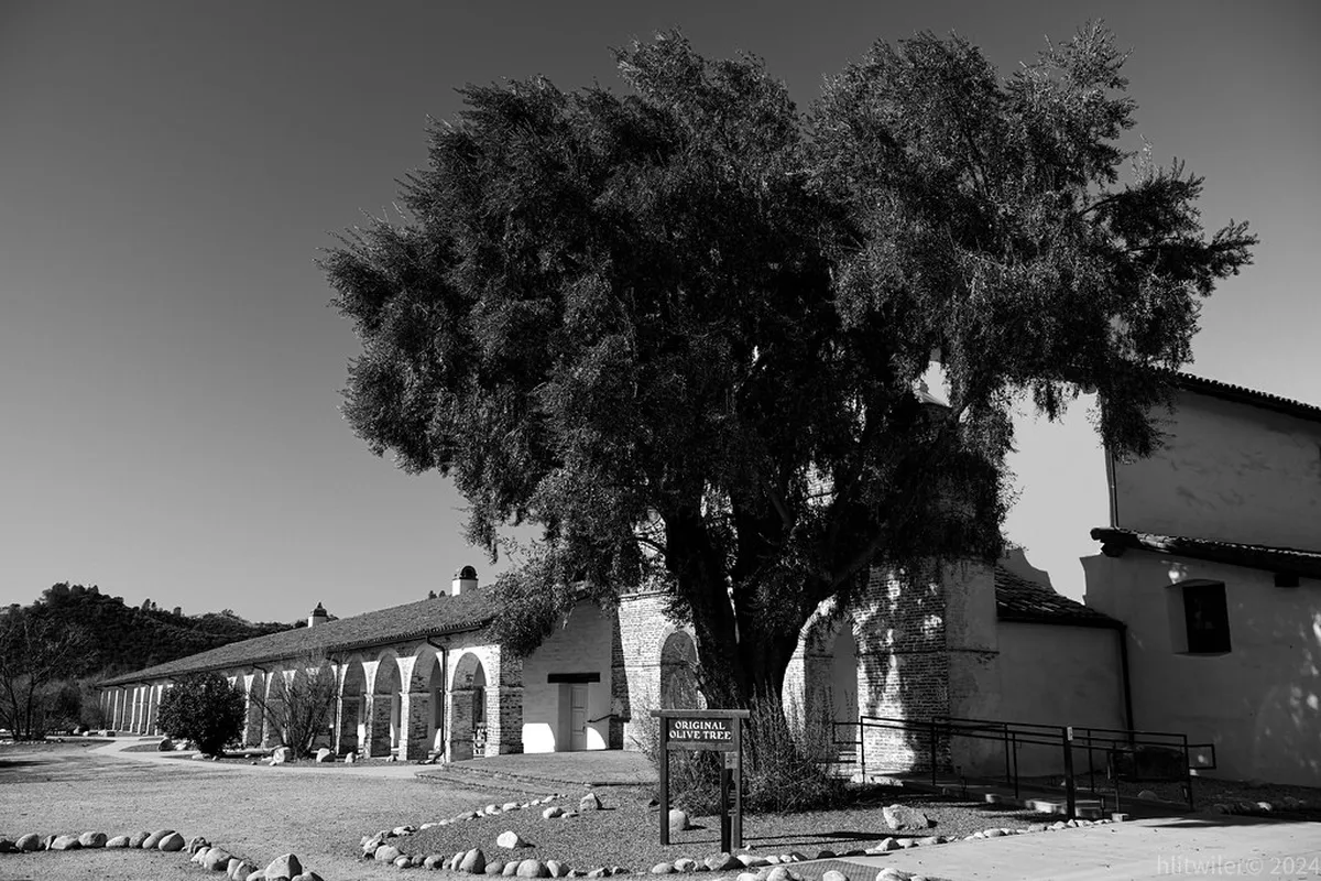 Discover Hidden Gems Santa Cruz La Palma in 2025