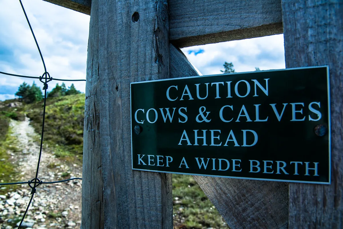 Top Ullapool Free Activities: Enjoy the Highlands for Less